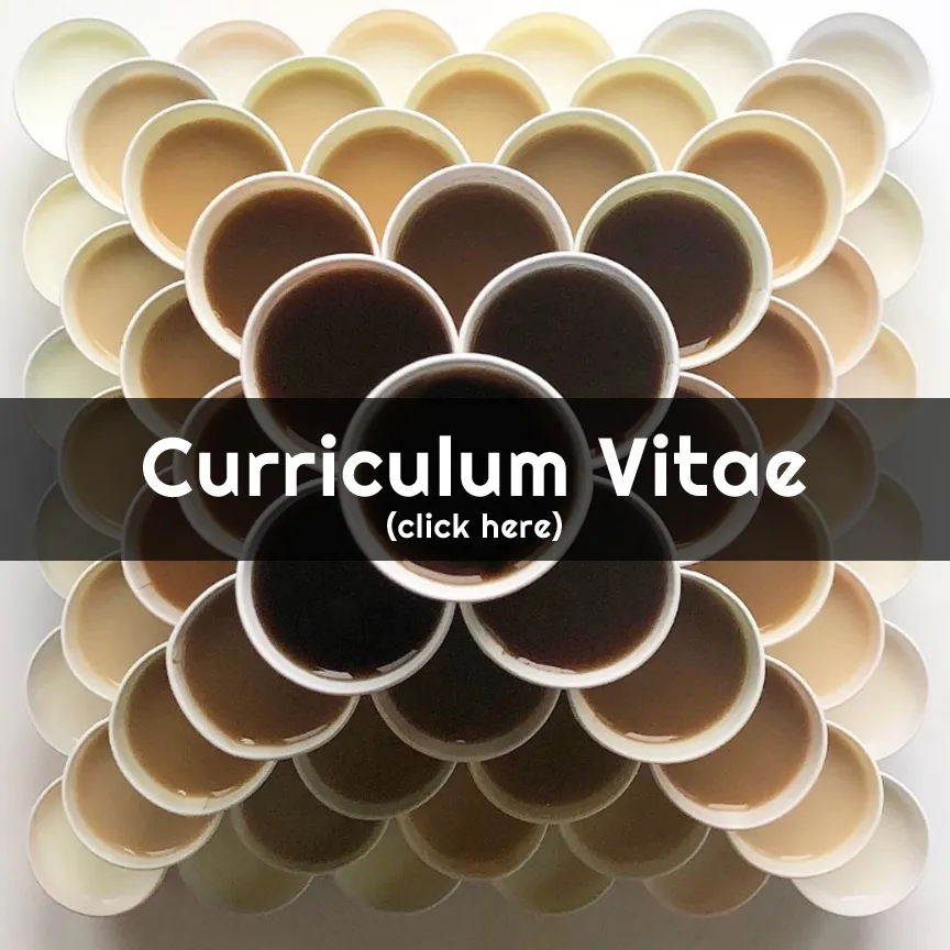Curriculum Vitae